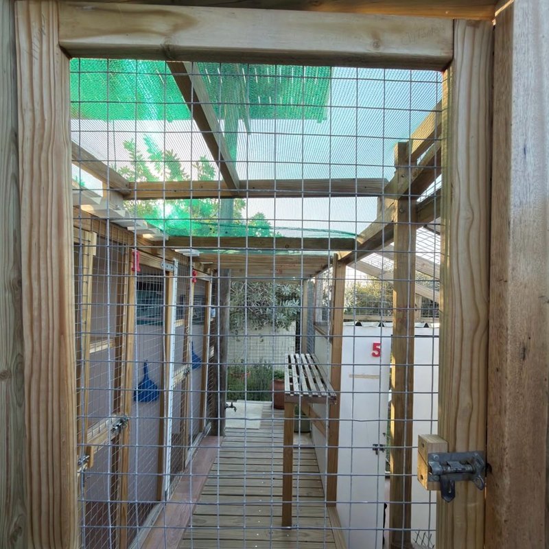 The latched gate into the enclosed run, the second of two locked barriers