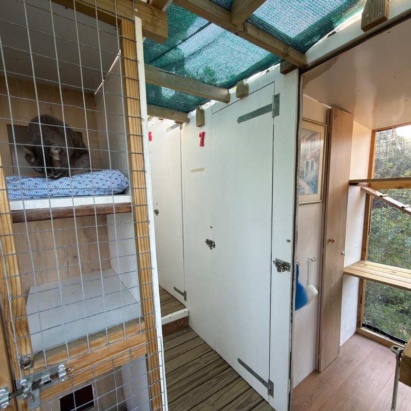 A cat on the shelf inside its cabin, with the litter tray separated below