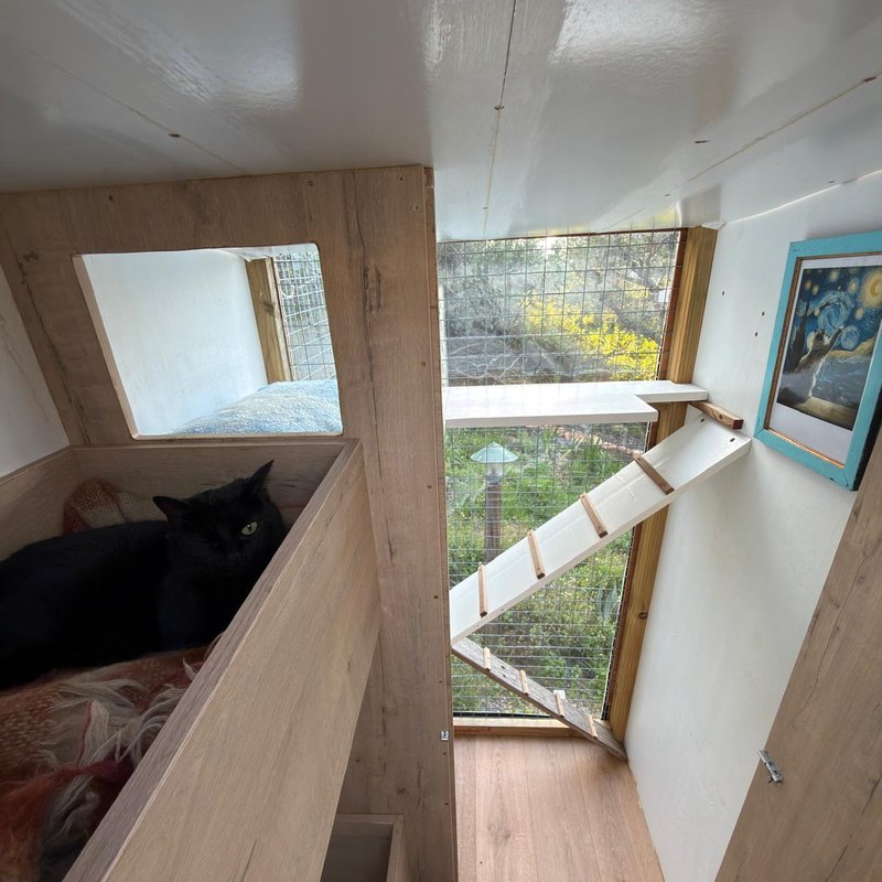 Inside a cabin: the ramp between levels and a framed picture on the wall