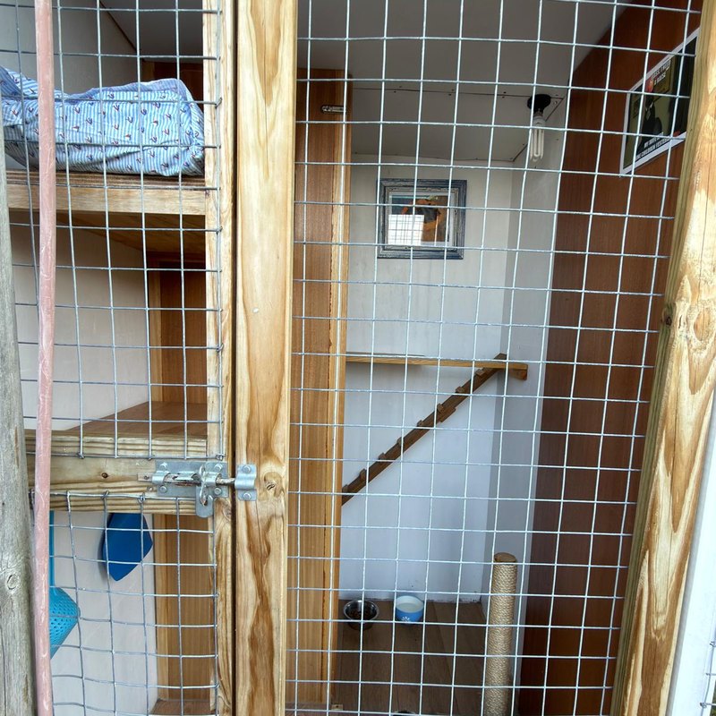 A cabin interior with food and water bowls and a scratching post