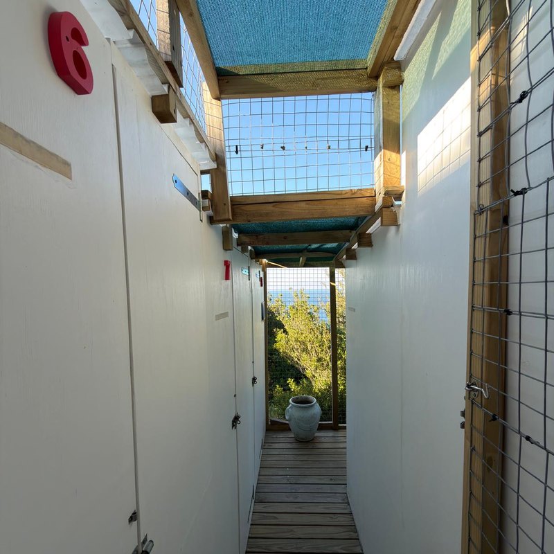 The run between the cabins, looking out towards the sea