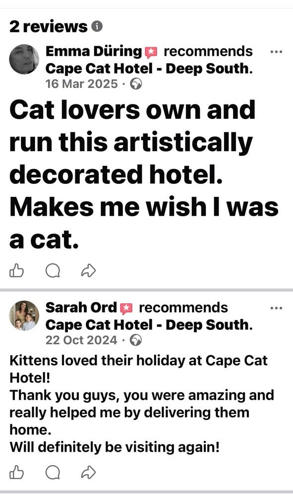 Two Facebook reviews. Emma During recommends Cape Cat Hotel: Cat lovers own and run this artistically decorated hotel. Makes me wish I was a cat. Sarah Ord recommends Cape Cat Hotel: Kittens loved their holiday at Cape Cat Hotel. Thank you guys, you were amazing and really helped me by delivering them home. Will definitely be visiting again.