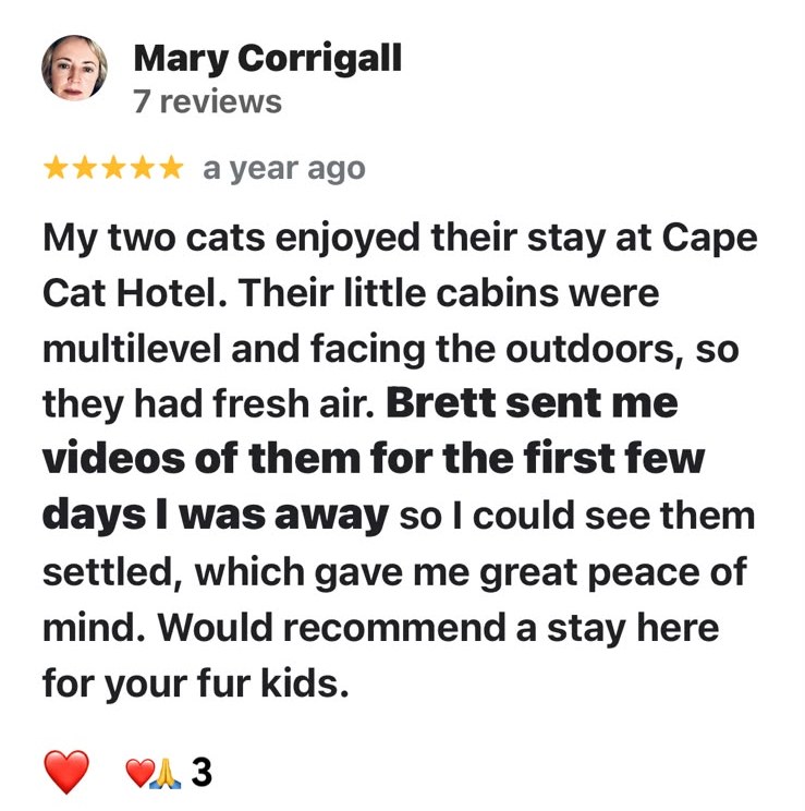 Facebook review from Mary Corrigall, five stars: My two cats enjoyed their stay at Cape Cat Hotel. Their little cabins were multilevel and facing the outdoors, so they had fresh air. Brett sent me videos of them for the first few days I was away so I could see them settled, which gave me great peace of mind. Would recommend a stay here for your fur kids.