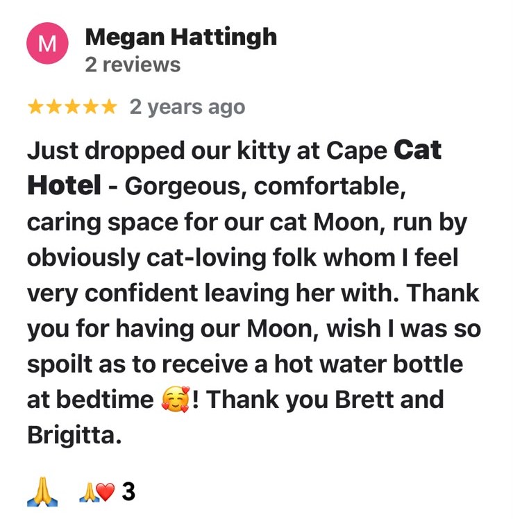 Facebook review from Megan Hattingh, five stars: Just dropped our kitty at Cape Cat Hotel. Gorgeous, comfortable, caring space for our cat Moon, run by obviously cat-loving folk whom I feel very confident leaving her with. Thank you for having our Moon, wish I was so spoilt as to receive a hot water bottle at bedtime. Thank you Brett and Brigitta.